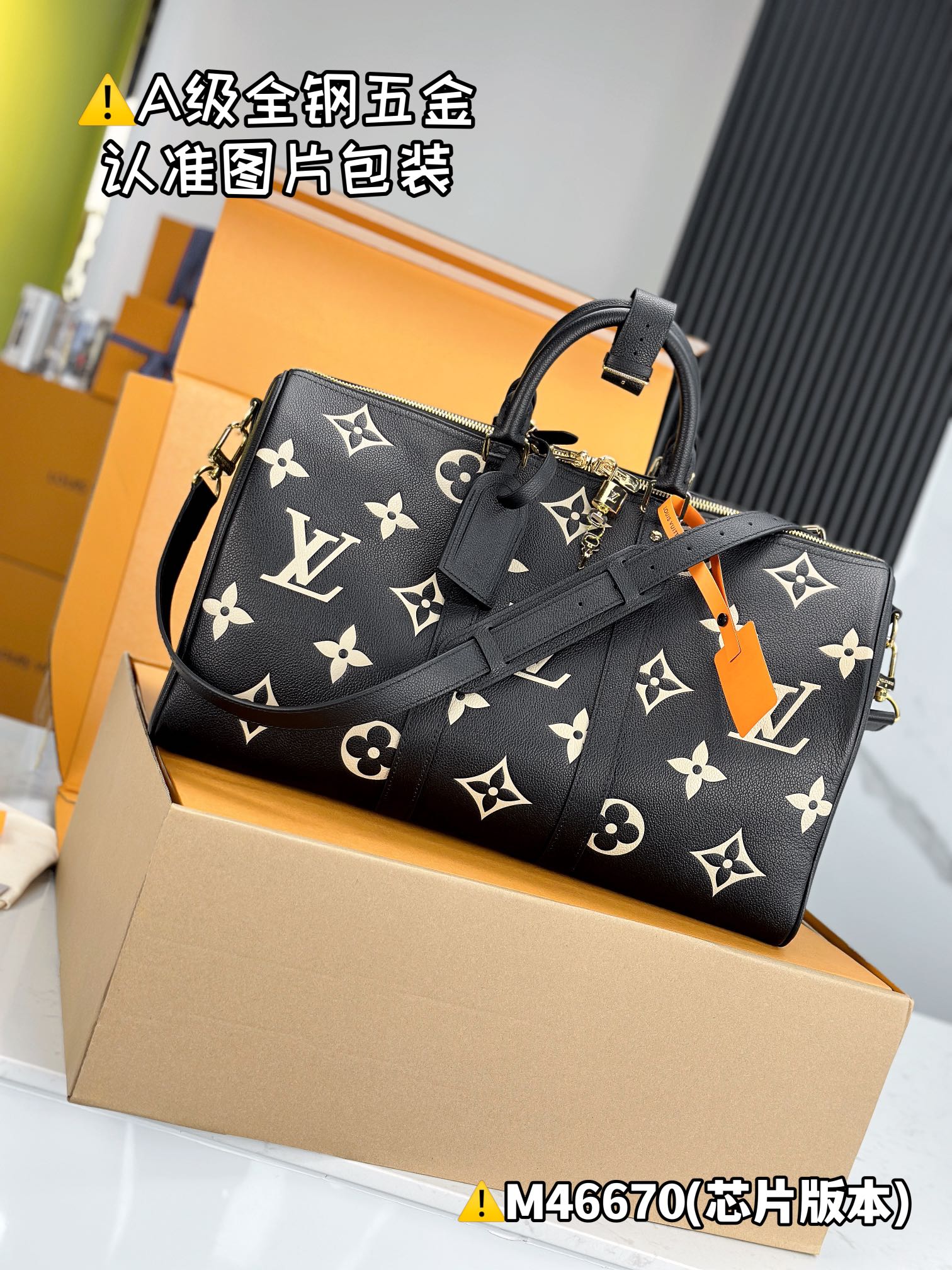 LV Travel Bags